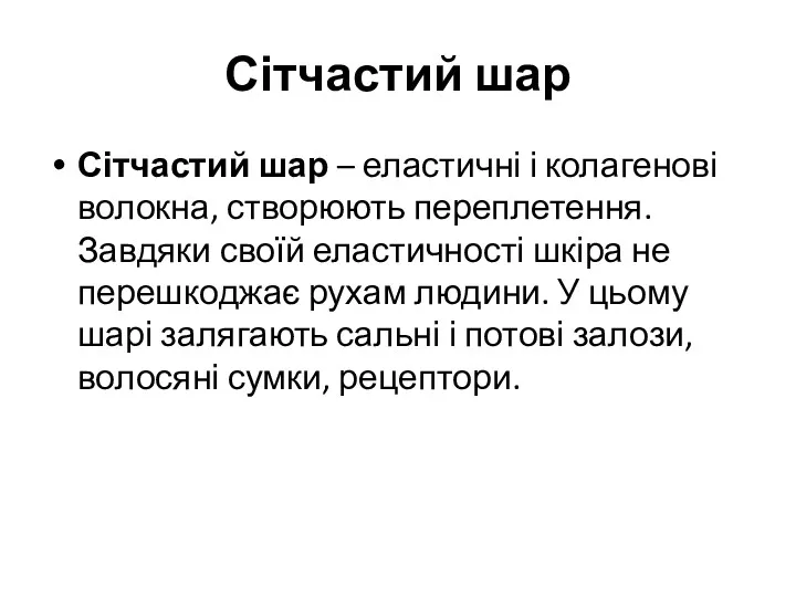 Сітчастий шар Сітчастий шар – еластичні і колагенові волокна, створюють