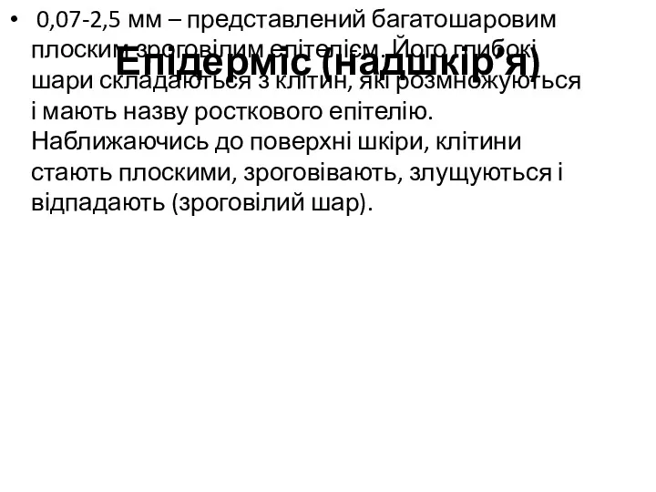 Епідерміс (надшкір’я) 0,07-2,5 мм – представлений багатошаровим плоским зроговілим епітелієм. Його глибокі шари