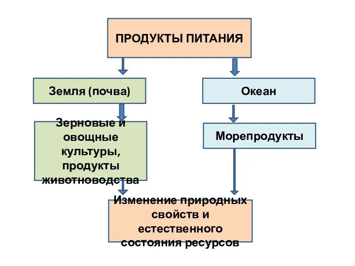 ПРОДУКТЫ ПИТАНИЯ Земля (почва) Океан Зерновые и овощные культуры, продукты