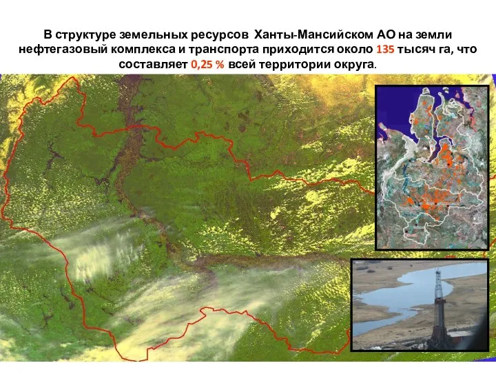 В структуре земельных ресурсов Ханты-Мансийском АО на земли нефтегазовый комплекса