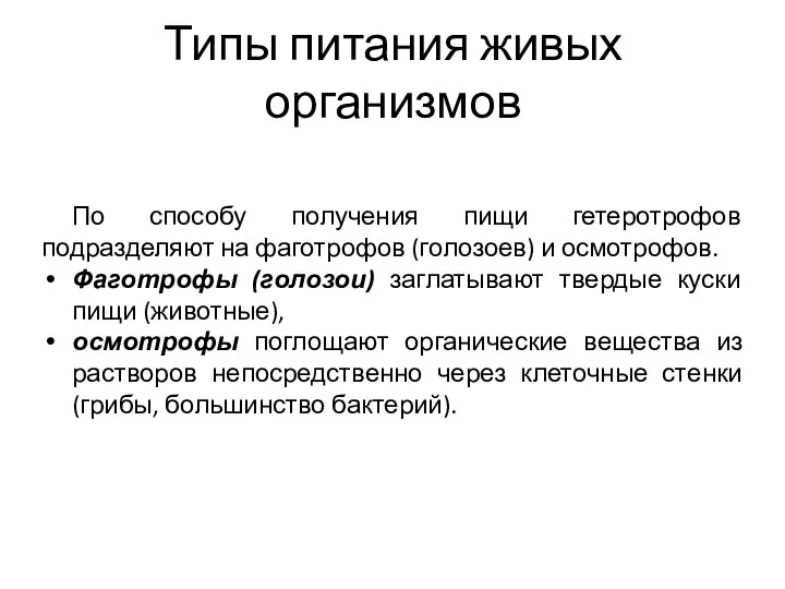 Типы питания живых организмов По способу получения пищи гетеротрофов подразделяют