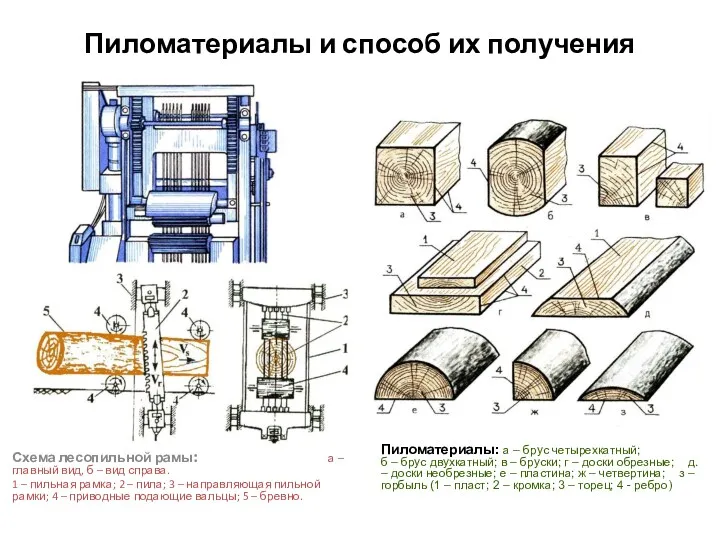 Пиломатериалы и способ их получения Схема лесопильной рамы: а –