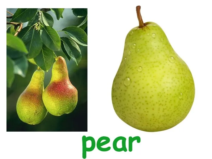 pear