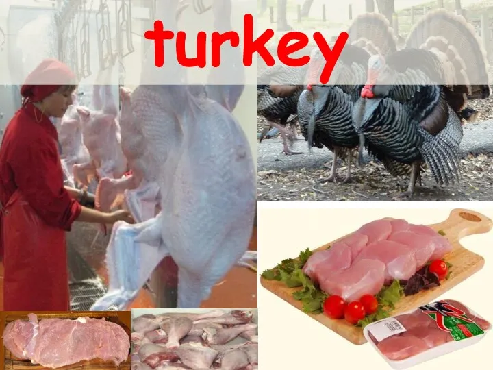 turkey