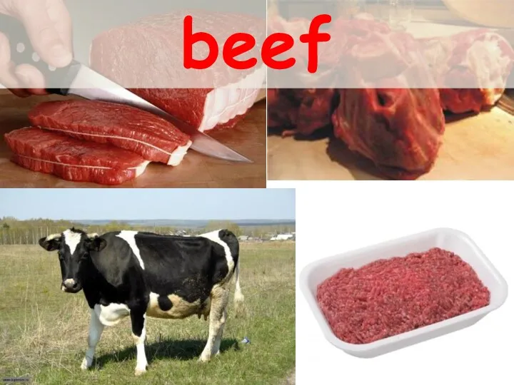 beef