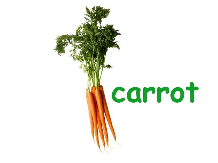 carrot