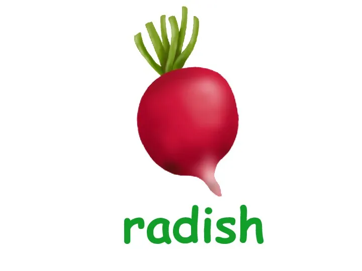 radish