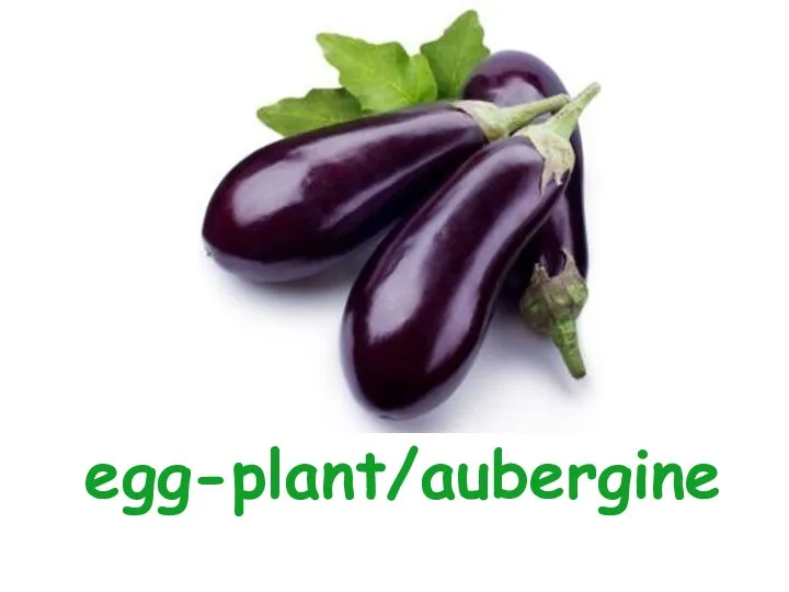 egg-plant/aubergine
