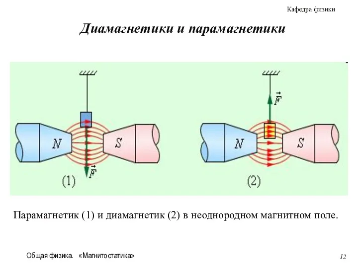 Общая физика. «Магнитостатика» Парамагнетик (1) и диамагнетик (2) в неоднородном магнитном поле. Диамагнетики и парамагнетики