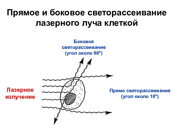 Лазерное излучение Боковое светорассеивание(угол около 90о) Прямо светорассеивание (угол около