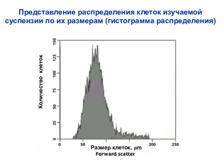 Представление распределения клеток изучаемой суспензии по их размерам (гистограмма распределения) Количество клеток Размер клеток, μm