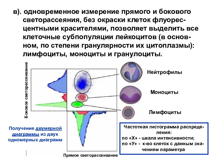 в). одновременное измерение прямого и бокового светорассеяния, без окраски клеток