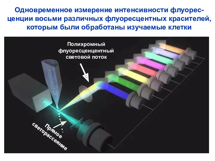 Одновременное измерение интенсивности флуорес- ценции восьми различных флуоресцентных красителей, которым