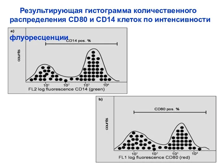 Результирующая гистограмма количественного распределения CD80 и CD14 клеток по интенсивности флуоресценции