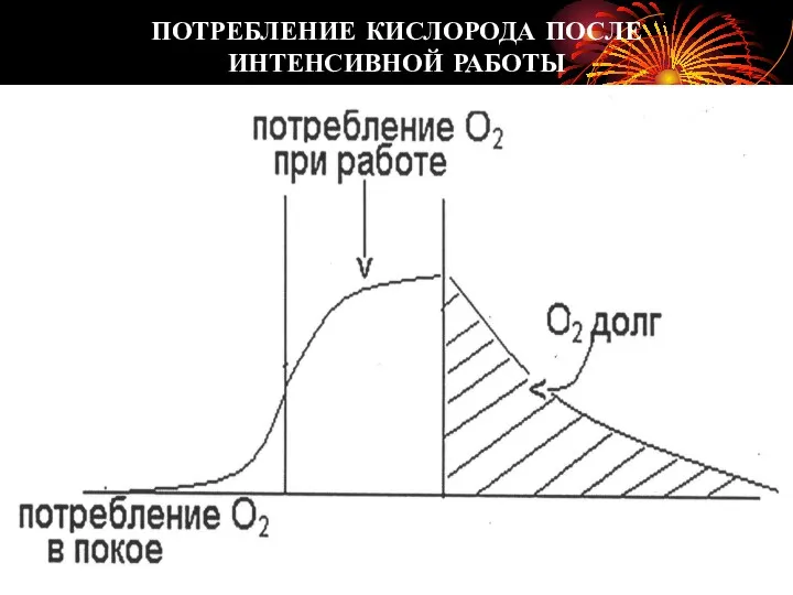 ПОТРЕБЛЕНИЕ КИСЛОРОДА ПОСЛЕ ИНТЕНСИВНОЙ РАБОТЫ