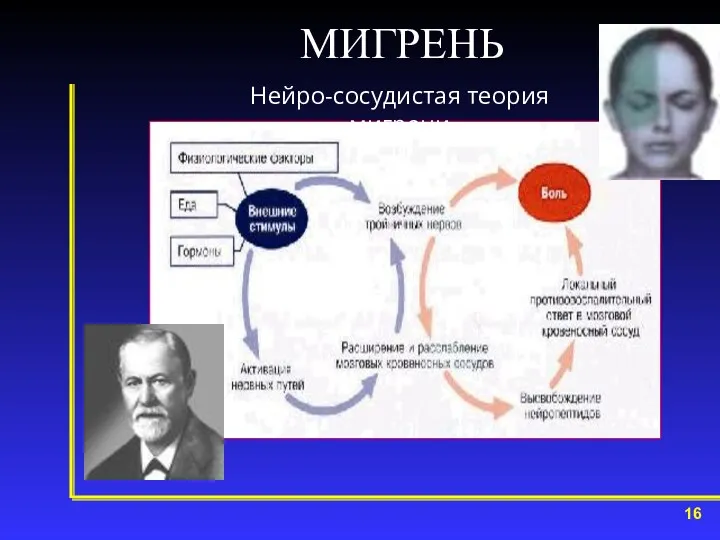 МИГРЕНЬ Нейро-сосудистая теория мигрени