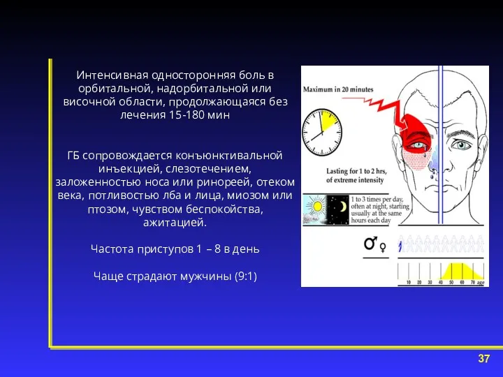 Интенсивная односторонняя боль в орбитальной, надорбитальной или височной области, продолжающаяся