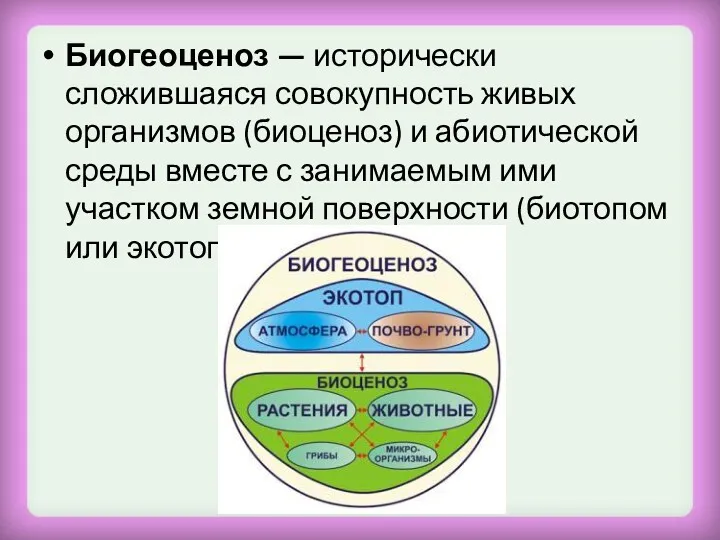 Биогеоценоз — исторически сложившаяся совокупность живых организмов (биоценоз) и абиотической