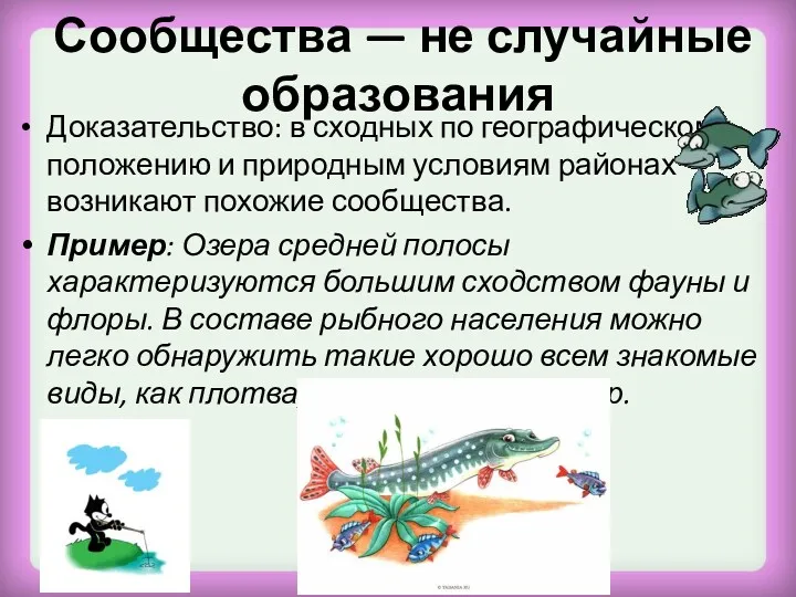 Сообщества — не случайные образования Доказательство: в сходных по географическому положению и природным