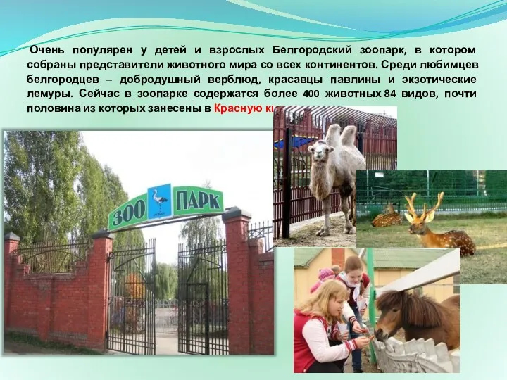 Очень популярен у детей и взрослых Белгородский зоопарк, в котором