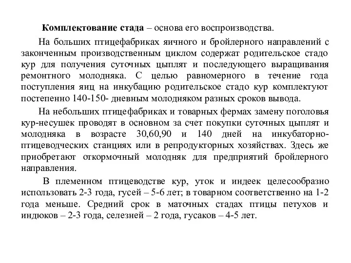 Комплектование стада – основа его воспроизводства. На больших птицефабриках яичного