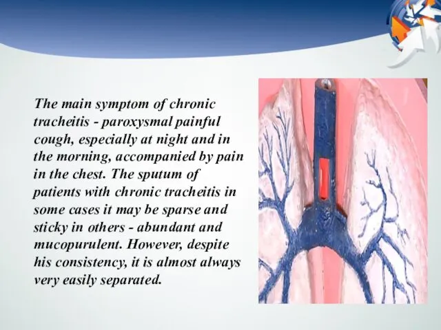 The main symptom of chronic tracheitis - paroxysmal painful cough,