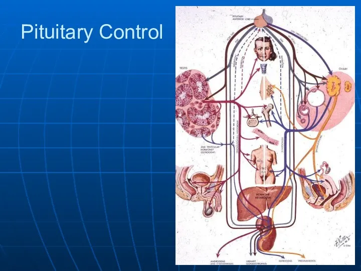 Pituitary Control