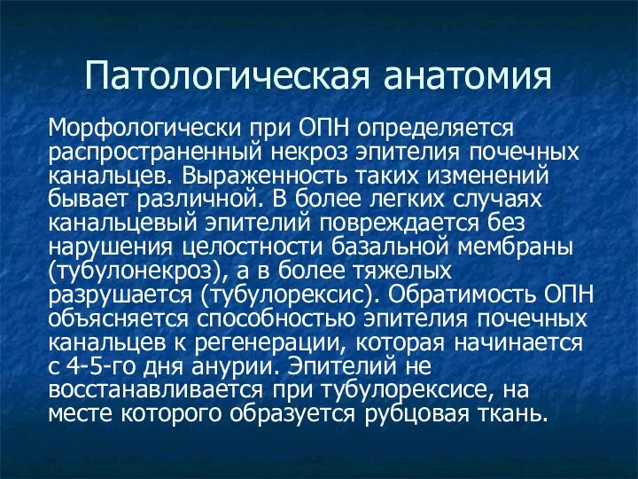 Патологическая анатомия Морфологически при ОПН определяется распространенный некроз эпителия почечных