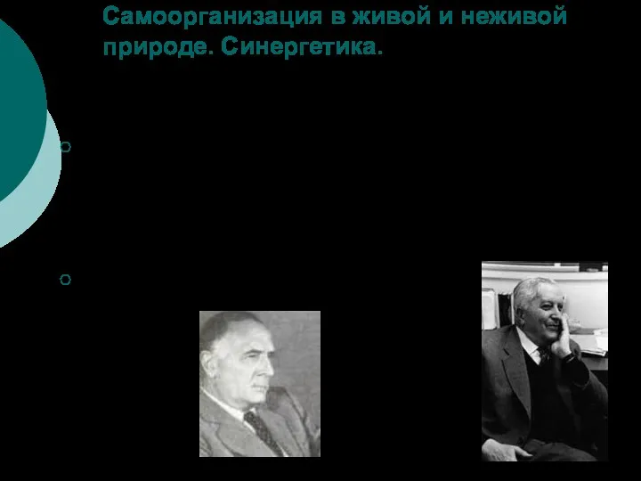 Самоорганизация в живой и неживой природе. Синергетика. «Синергетика»- в переводе с древнегреческого означает