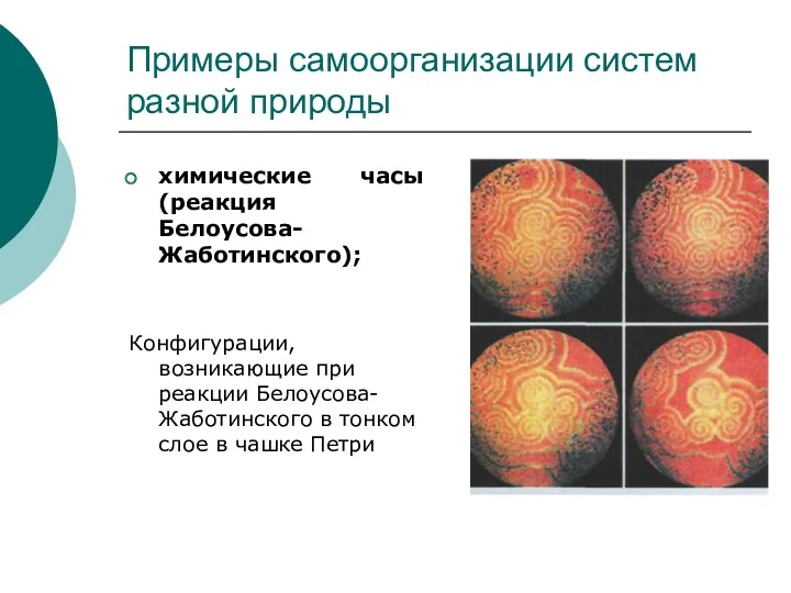 Примеры самоорганизации систем разной природы химические часы (реакция Белоусова-Жаботинского); Конфигурации, возникающие при реакции