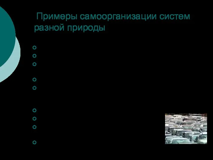 Примеры самоорганизации систем разной природы рост кристаллов; формирование живого организма; образование форм растений