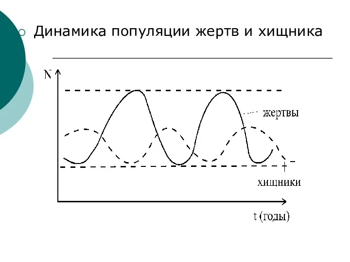 Динамика популяции жертв и хищника