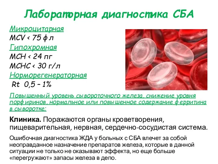 Лабораторная диагностика СБА Микроцитарная MCV Гипохромная MCH MCHC Норморегенераторная Rt