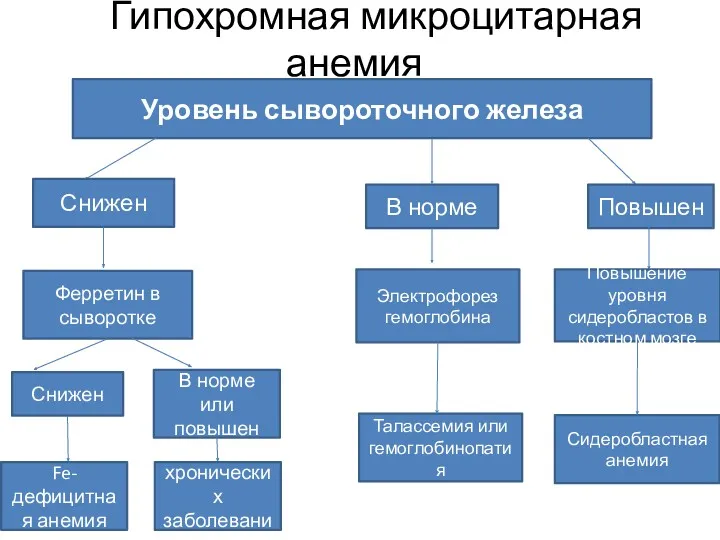 Уровень сывороточного железа Гипохромная микроцитарная анемия Снижен В норме Повышен