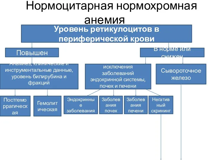 Нормоцитарная нормохромная анемия Уровень ретикулоцитов в периферической крови Повышен В