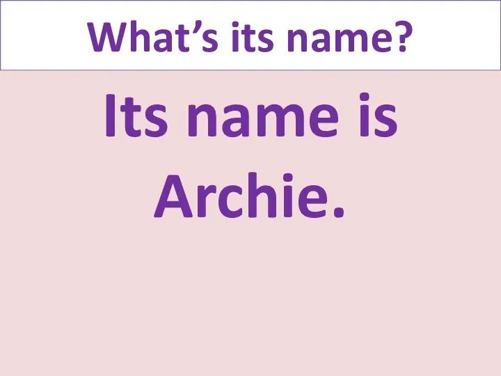 What’s its name? Its name is Archie.