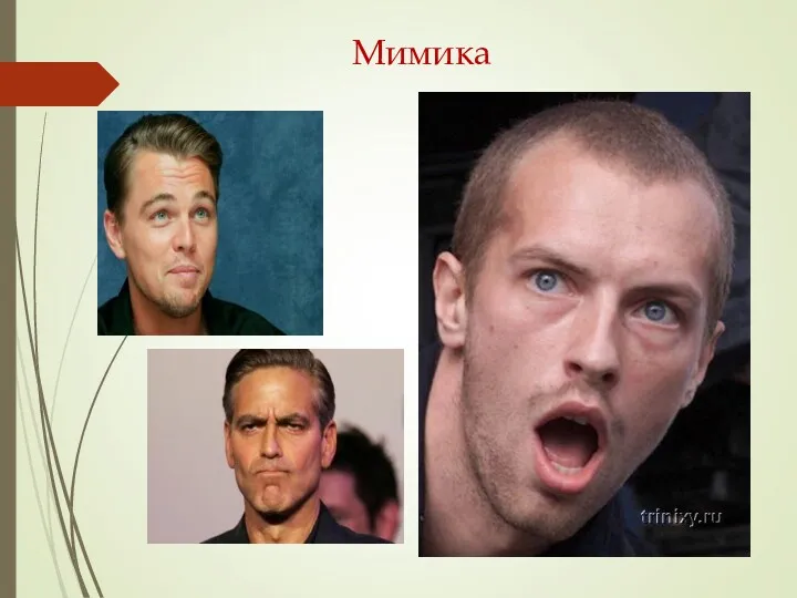 Мимика