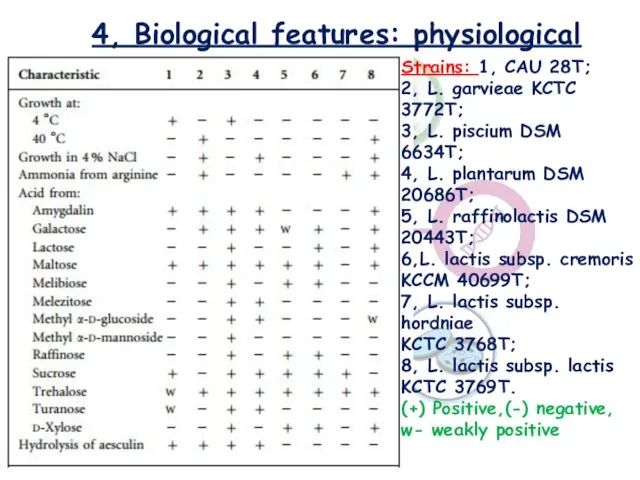 4, Biological features: physiological Strains: 1, CAU 28T; 2, L.