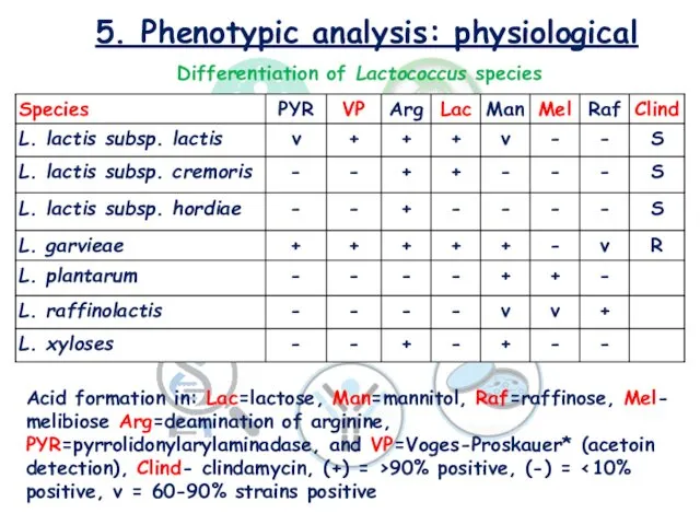 5. Phenotypic analysis: physiological Differentiation of Lactococcus species Acid formation