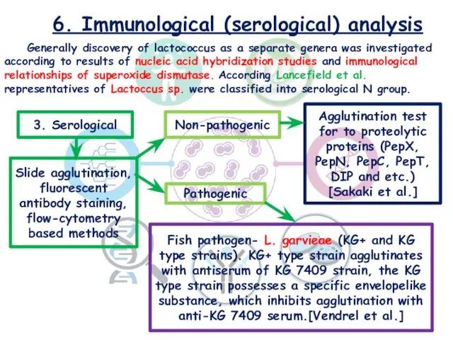 6. Immunological (serological) analysis Generally discovery of lactococcus as a