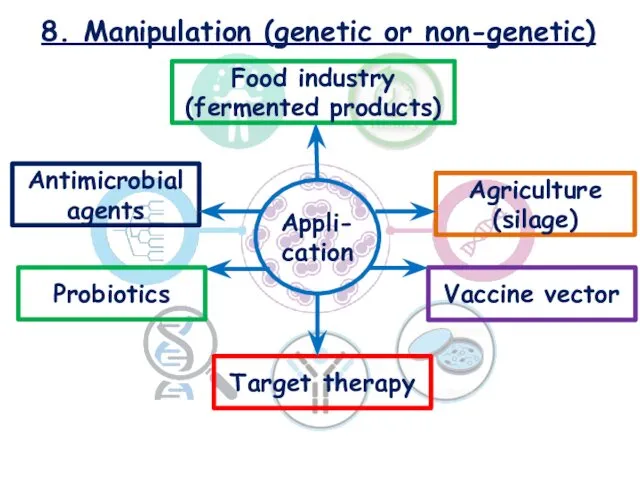 8. Manipulation (genetic or non-genetic) Food industry (fermented products) Agriculture