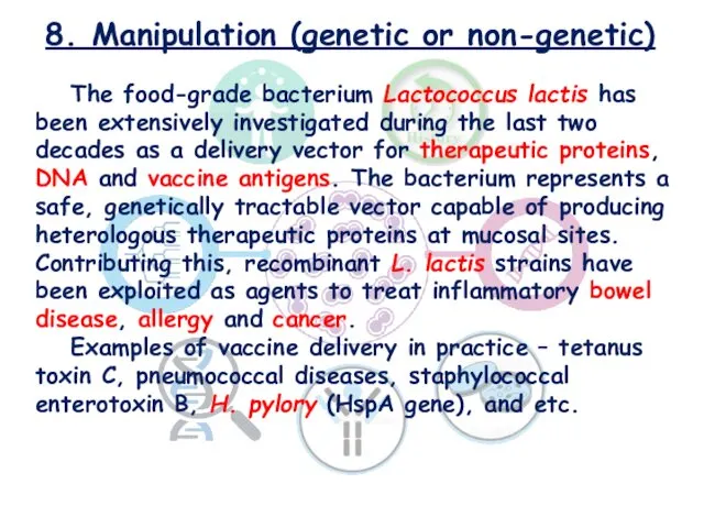 8. Manipulation (genetic or non-genetic) The food-grade bacterium Lactococcus lactis