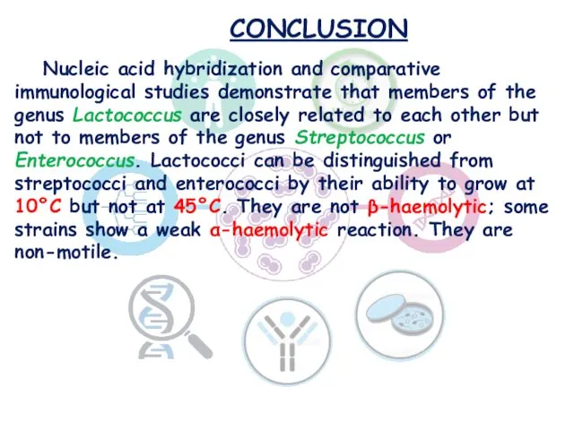 CONCLUSION Nucleic acid hybridization and comparative immunological studies demonstrate that