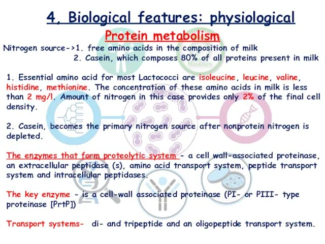4, Biological features: physiological Protein metabolism Nitrogen source->1. free amino