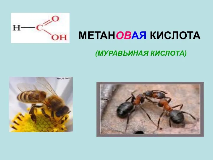 МЕТАНОВАЯ КИСЛОТА (МУРАВЬИНАЯ КИСЛОТА)