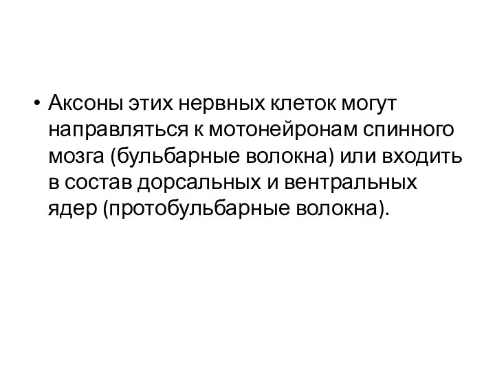 Аксоны этих нервных клеток могут направляться к мотонейронам спинного мозга