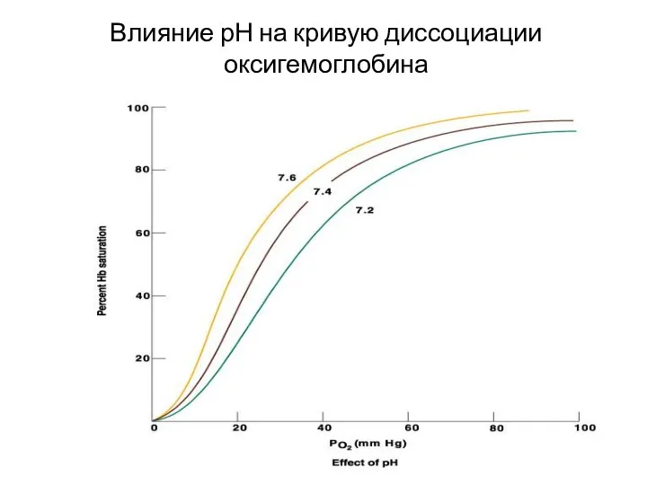 Влияние рН на кривую диссоциации оксигемоглобина