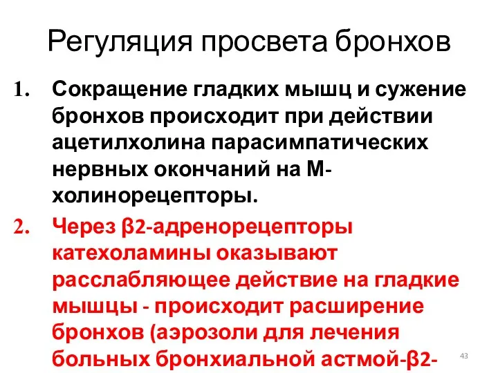 Регуляция просвета бронхов Сокращение гладких мышц и сужение бронхов происходит