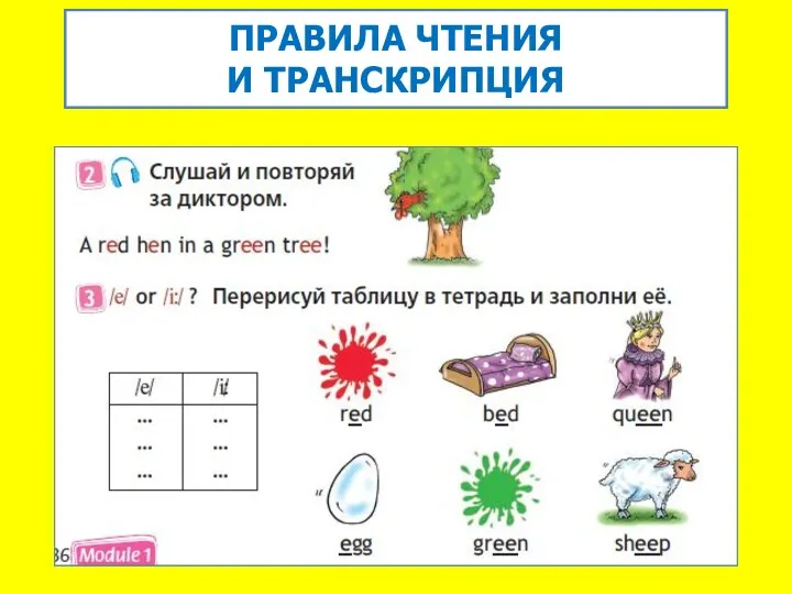 ПРАВИЛА ЧТЕНИЯ И ТРАНСКРИПЦИЯ