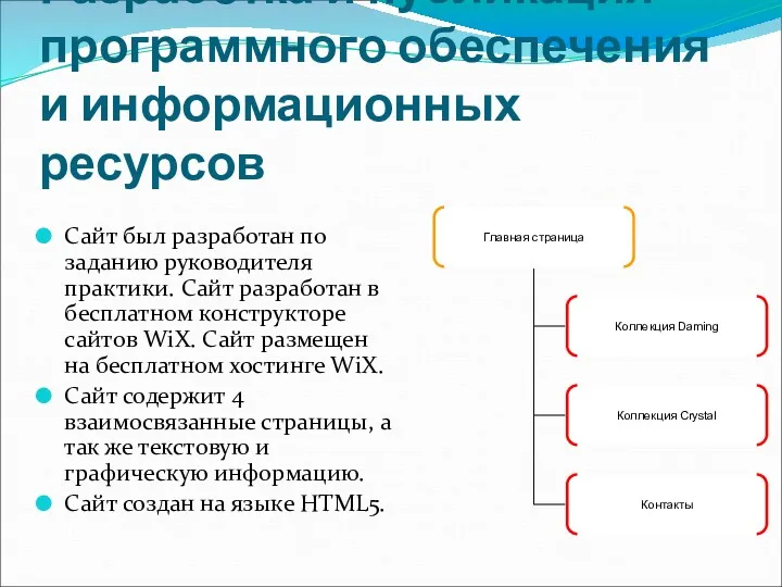 Разработка и публикация программного обеспечения и информационных ресурсов Сайт был